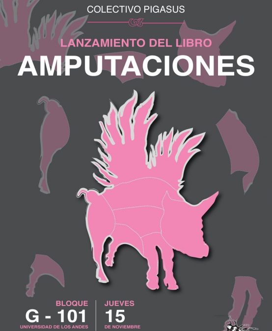 Lanzamiento del libro Amputaciones